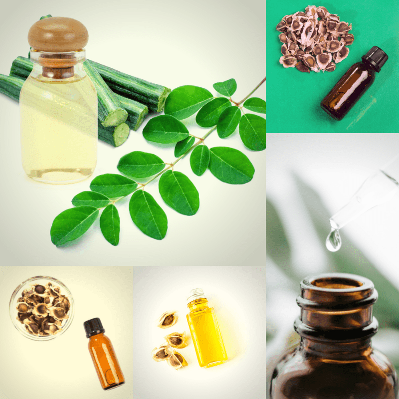 Moringa Oil Supplier in India